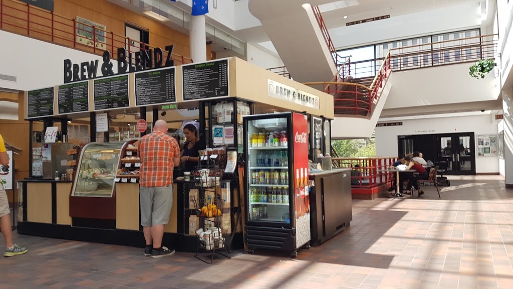 Brew & Blendz | 2500 University Drive Northwest, Calgary, AB T2N 1N4, Canada | Phone: (403) 210-6528