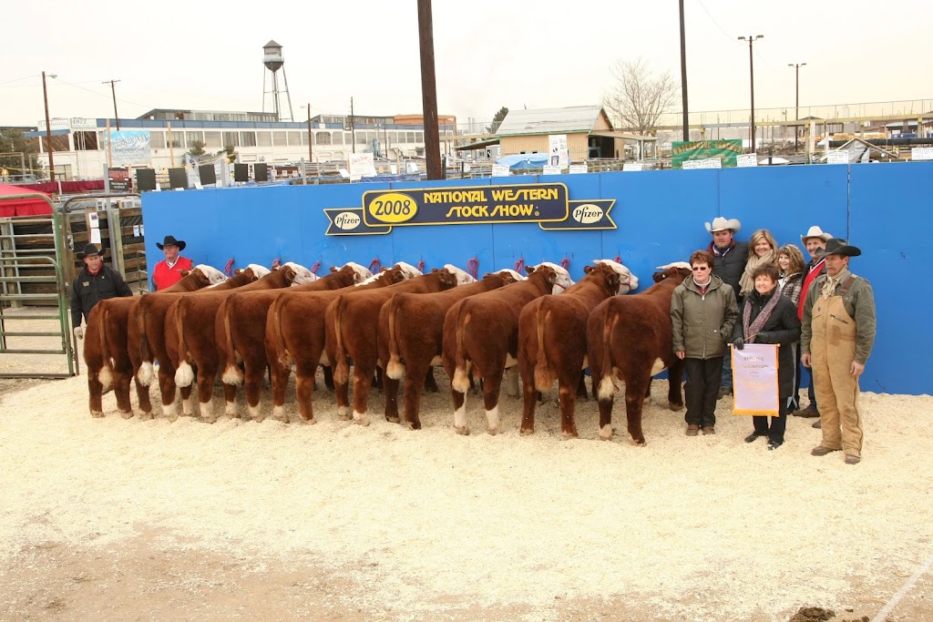 JK Fraser Cattle | 274129 Range Road 33, AB T4C 2Y2, Canada | Phone: (403) 932-2406