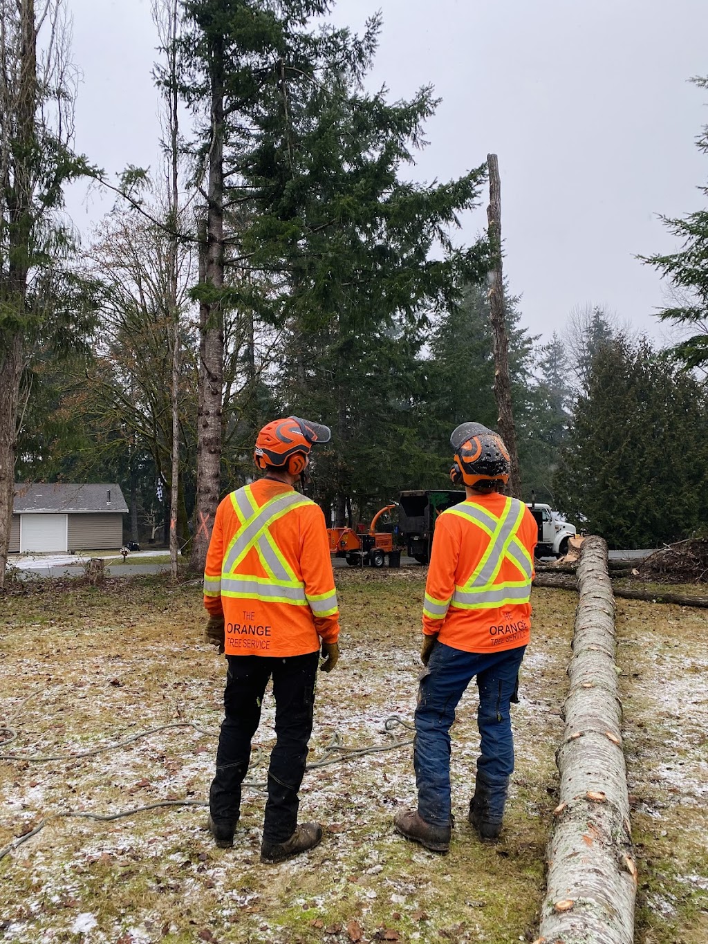 The Orange Tree Service | 1474 Hurford Ave, Courtenay, BC V9N 6X3, Canada | Phone: (250) 207-6764