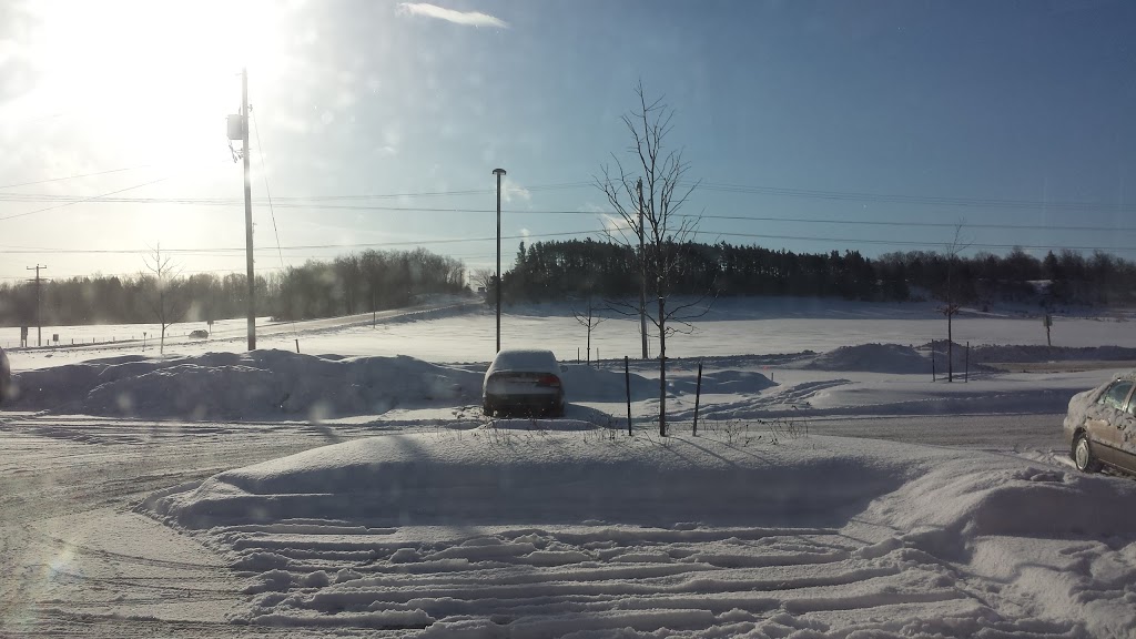 Esso | 2802 County Rd 42, Stayner, ON L0M 1S0, Canada | Phone: (705) 466-3776