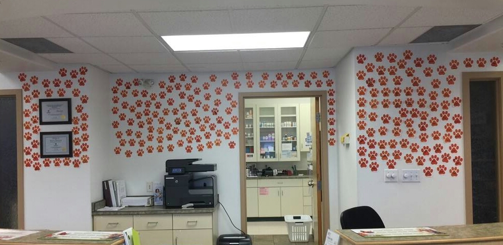 VCA Canada Mayfield Animal Hospital | 16808 106 Ave NW, Edmonton, AB T5P 4Z3, Canada | Phone: (780) 451-3465
