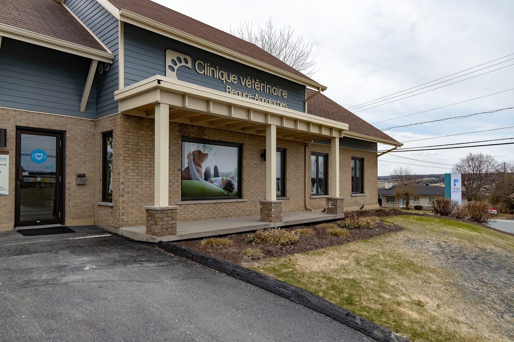 Clinique Vétérinaire Beauce-Appalaches Enr | 410 144e Rue, Saint-Georges, QC G5Y 2K4, Canada | Phone: (418) 227-3006