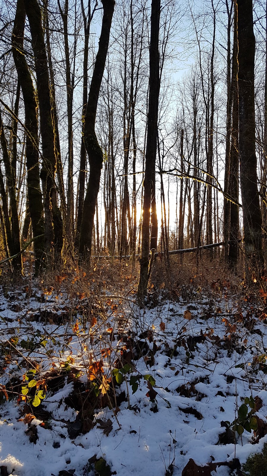 Fort Camping | 9451 Glover Rd, Langley City, BC V1M 2R9, Canada | Phone: (604) 888-3678