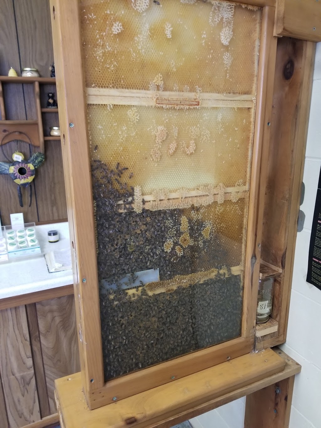 Sun Parlor Honey Ltd | 238 County Rd 14, Cottam, ON N0R 1B0, Canada | Phone: (519) 839-4000