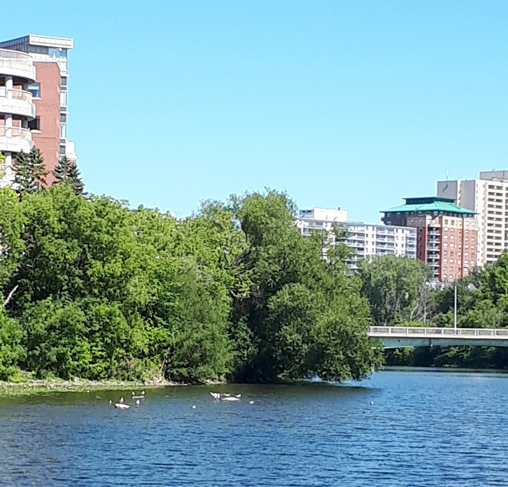 Stanley Park - Calisthenics Area | health | New Edinburgh, Ottawa, ON K1M 1P2, Canada