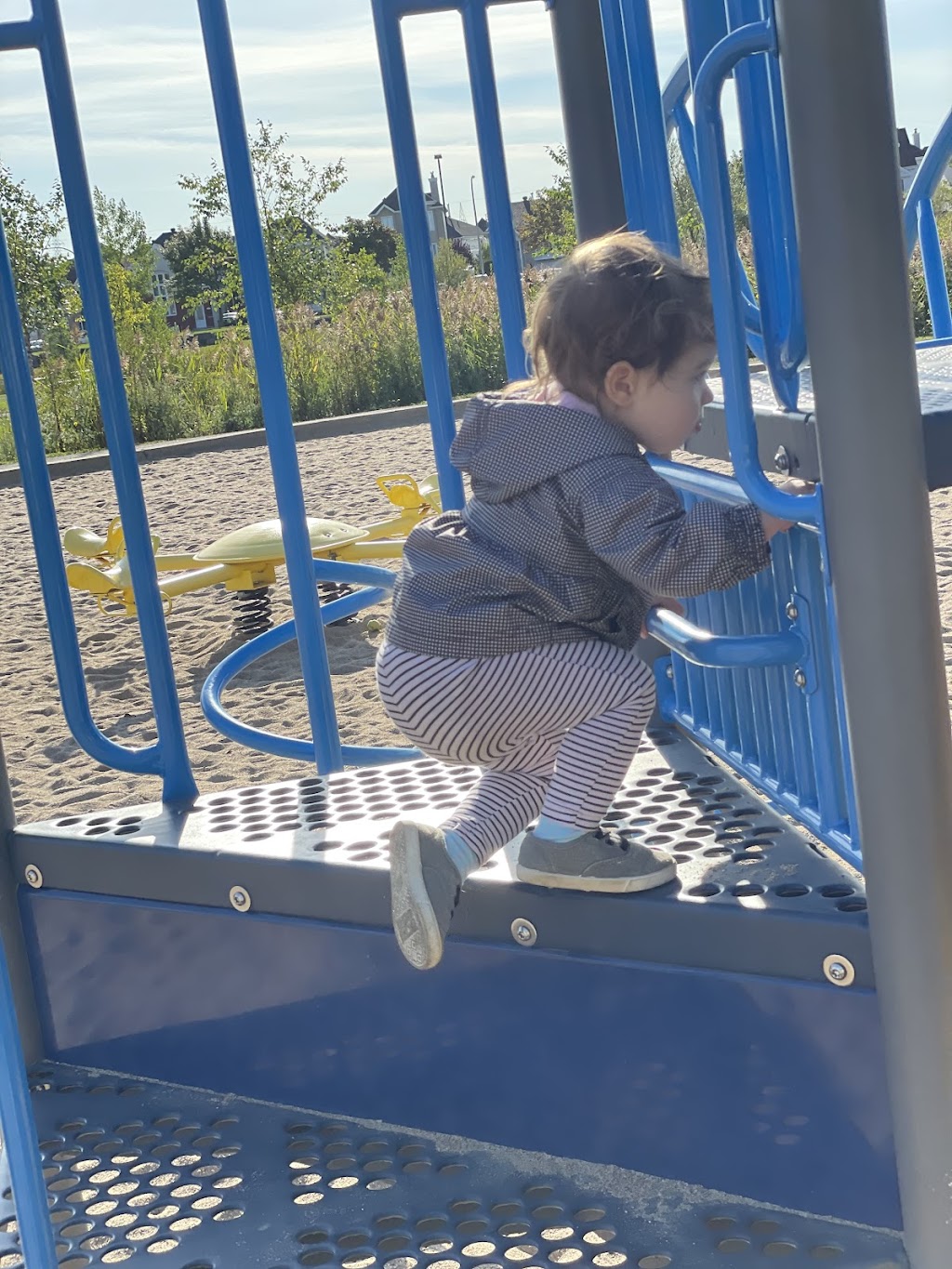 Nursery Tala | 3656 Rue Jessica, Laval, QC H7P 5V8, Canada | Phone: (438) 936-4152