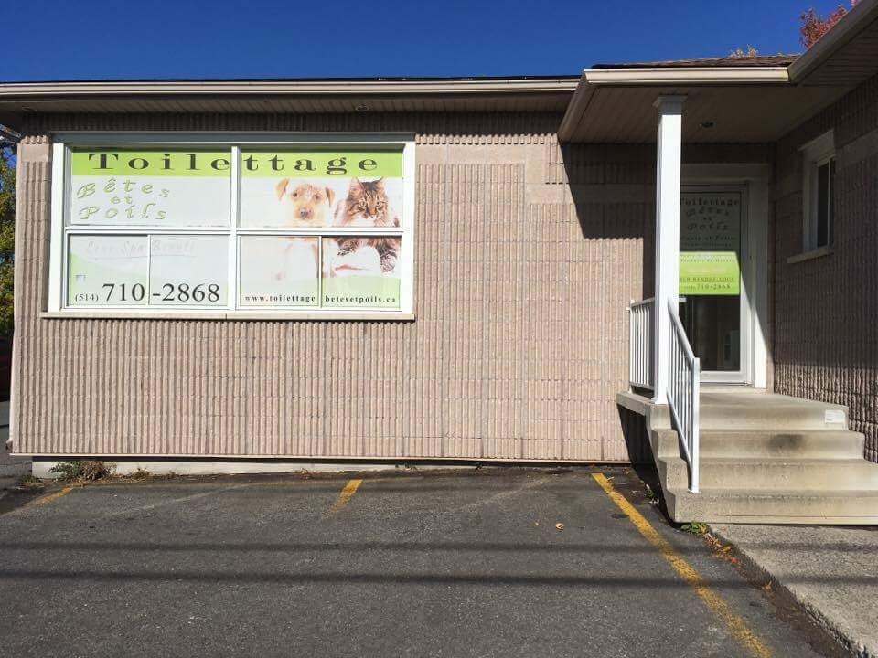 Toilettage Betes et Poils | 53 Rue St Pierre Local 101, Saint-Constant, QC J5A 1B9, Canada | Phone: (514) 710-2868