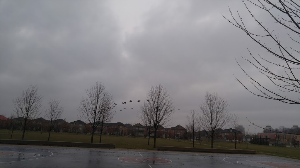 Bur Oak Park | Markham, ON L6E, Canada