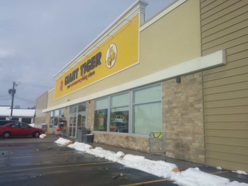 Giant Tiger | 936 Edward St N, Prescott, ON K0E 1T0, Canada | Phone: (613) 925-4615