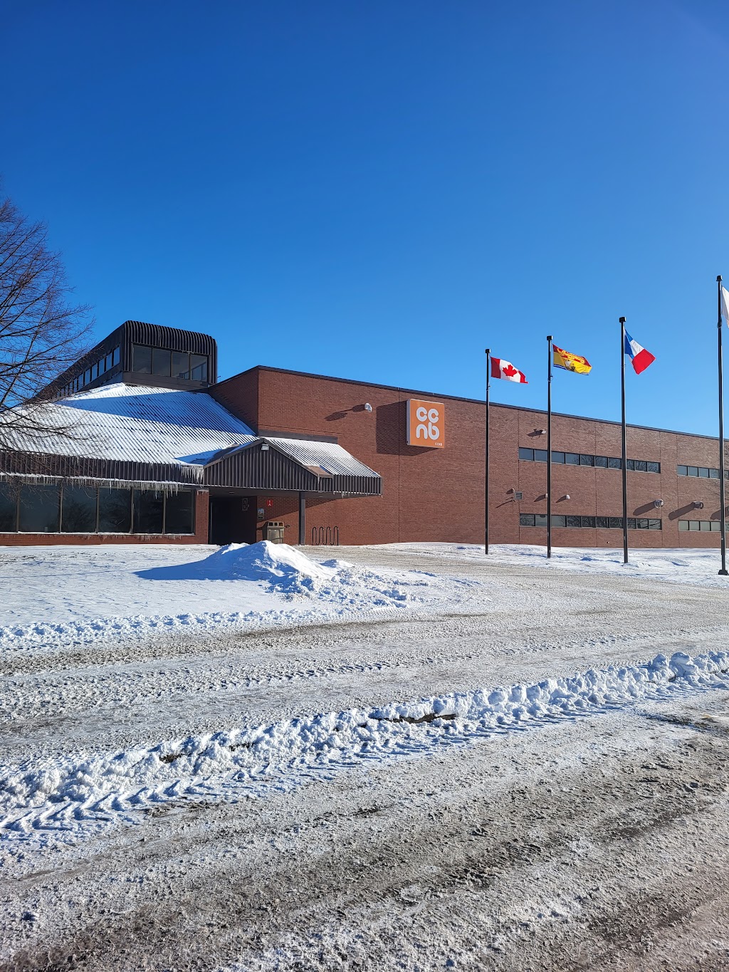 CCNB - Campus de Dieppe | 505 Rue du College, Dieppe, NB E1A 6X2, Canada | Phone: (506) 856-2200