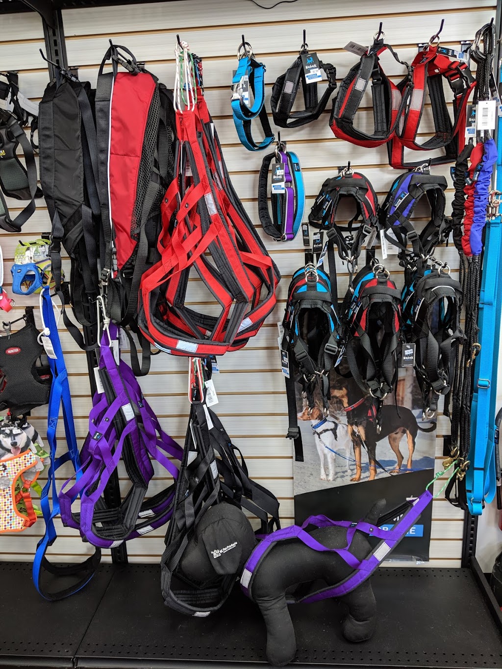Animo Etc | 5259 Bd Laurier O, Saint-Hyacinthe, QC J2S 3V5, Canada | Phone: (450) 768-7728