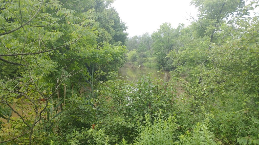 Rowsoms Tilbury West Conservation Area | 15172 S Middle Rd, Comber, ON N0P 1J0, Canada | Phone: (519) 354-7310