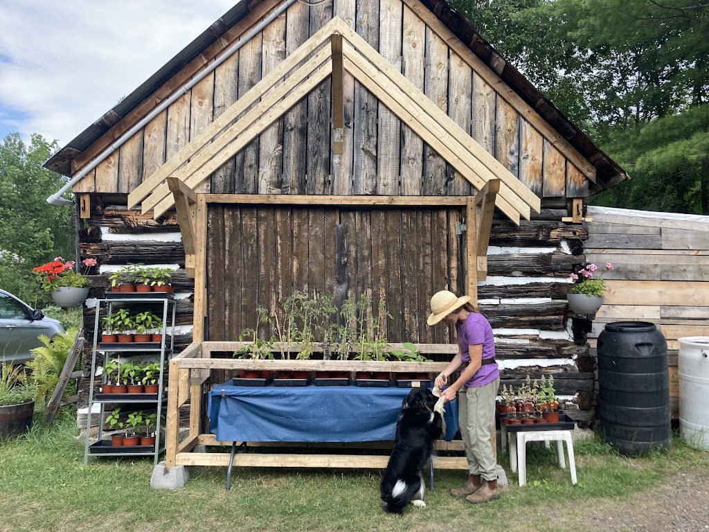 Rocky Forest Gardens | 626 Mt St Patrick Rd, Dacre, ON K0J 1N0, Canada | Phone: (343) 572-3353