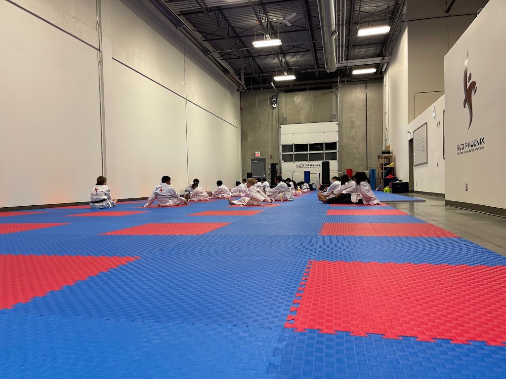 Red Phoenix Tae Kwon Do | 620 46 Ave NE #104, Calgary, AB T2E 8M9, Canada | Phone: (403) 277-7937