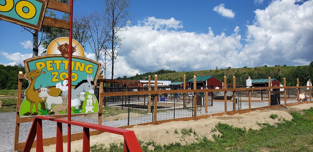 The Big Apple Petting Zoo | 262 Orchard Rd, Colborne, ON K0K 1S0, Canada | Phone: (905) 355-2574