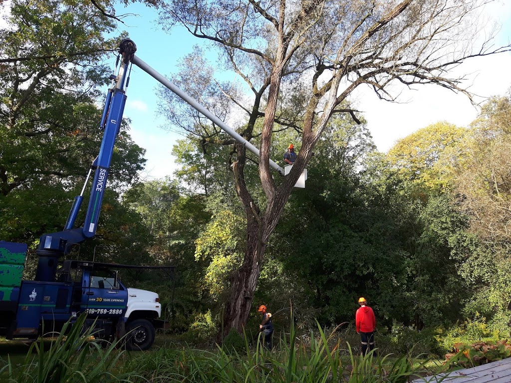 Beau & Sons Tree Service | 539 Burtch Rd, Mount Pleasant, ON N0E 1K0, Canada | Phone: (519) 759-2886