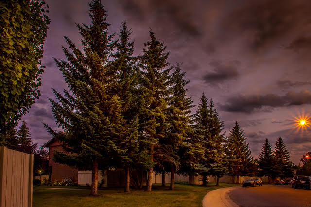 Alberta 75 Housing Co-operative Ltd. | 765 Midglen Gardens SE, Calgary, AB T2X 1R9, Canada | Phone: (403) 256-4755
