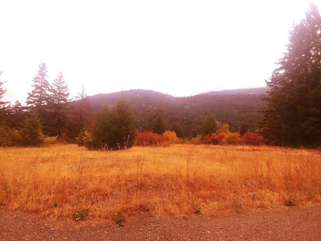 Tuckkwiowhum Campground | 48500 Tuckkwiowhum Rd, Boston Bar, BC V0K 1C0, Canada | Phone: (604) 867-9089