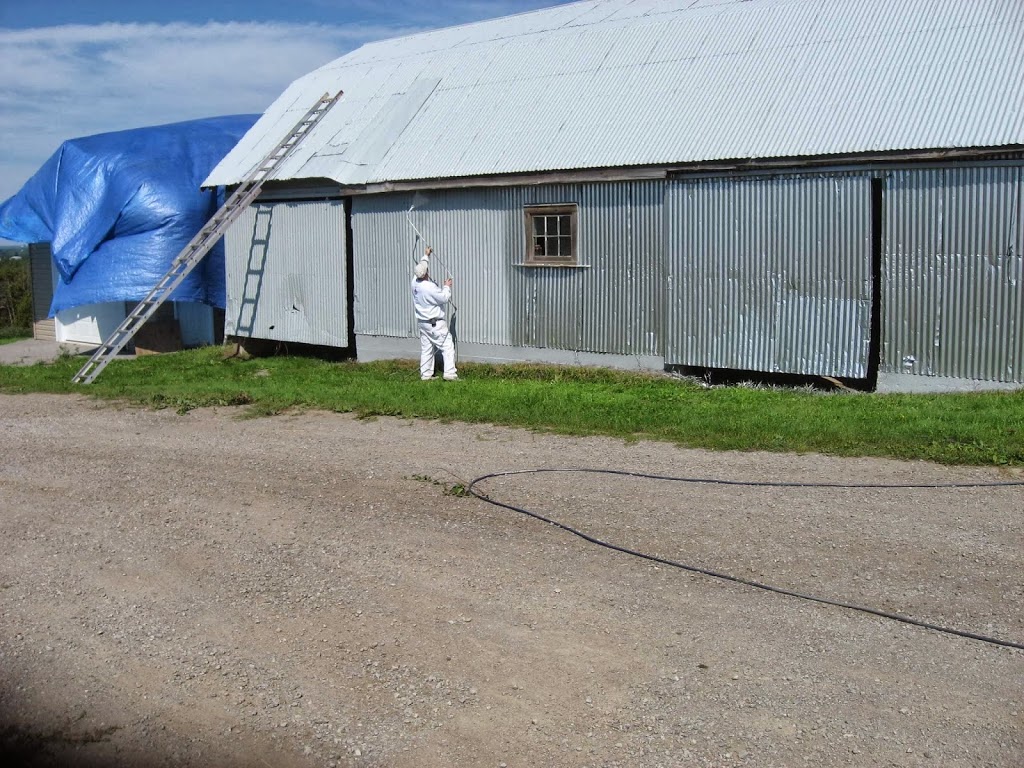 Rons Painting | 596 Black School Rd, Woodville, ON K0M 2T0, Canada | Phone: (866) 248-8486