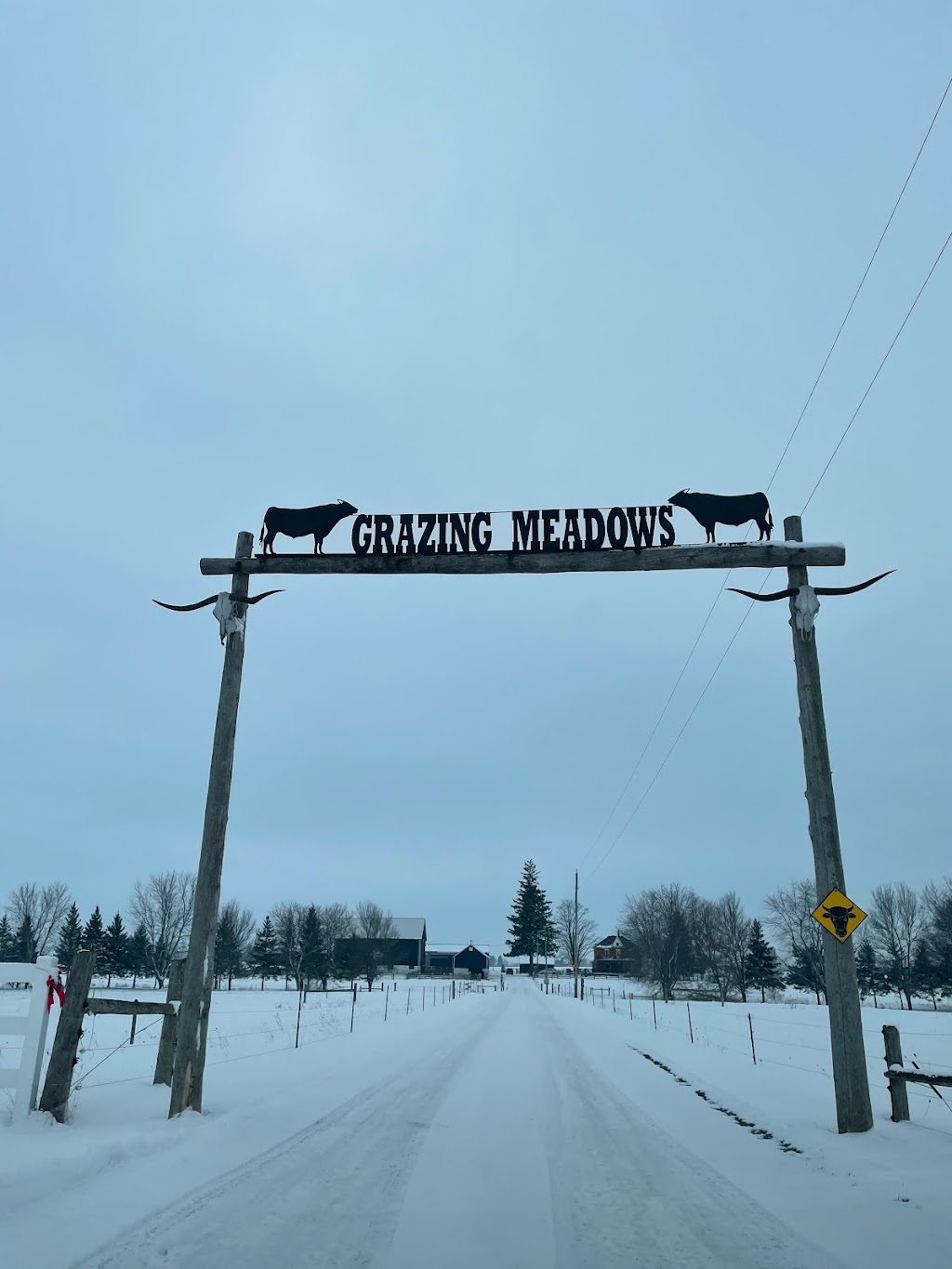 Grazing Meadows Wagyu | 43085 Newry Rd, Brussels, ON N0G 1H0, Canada | Phone: (519) 357-5807