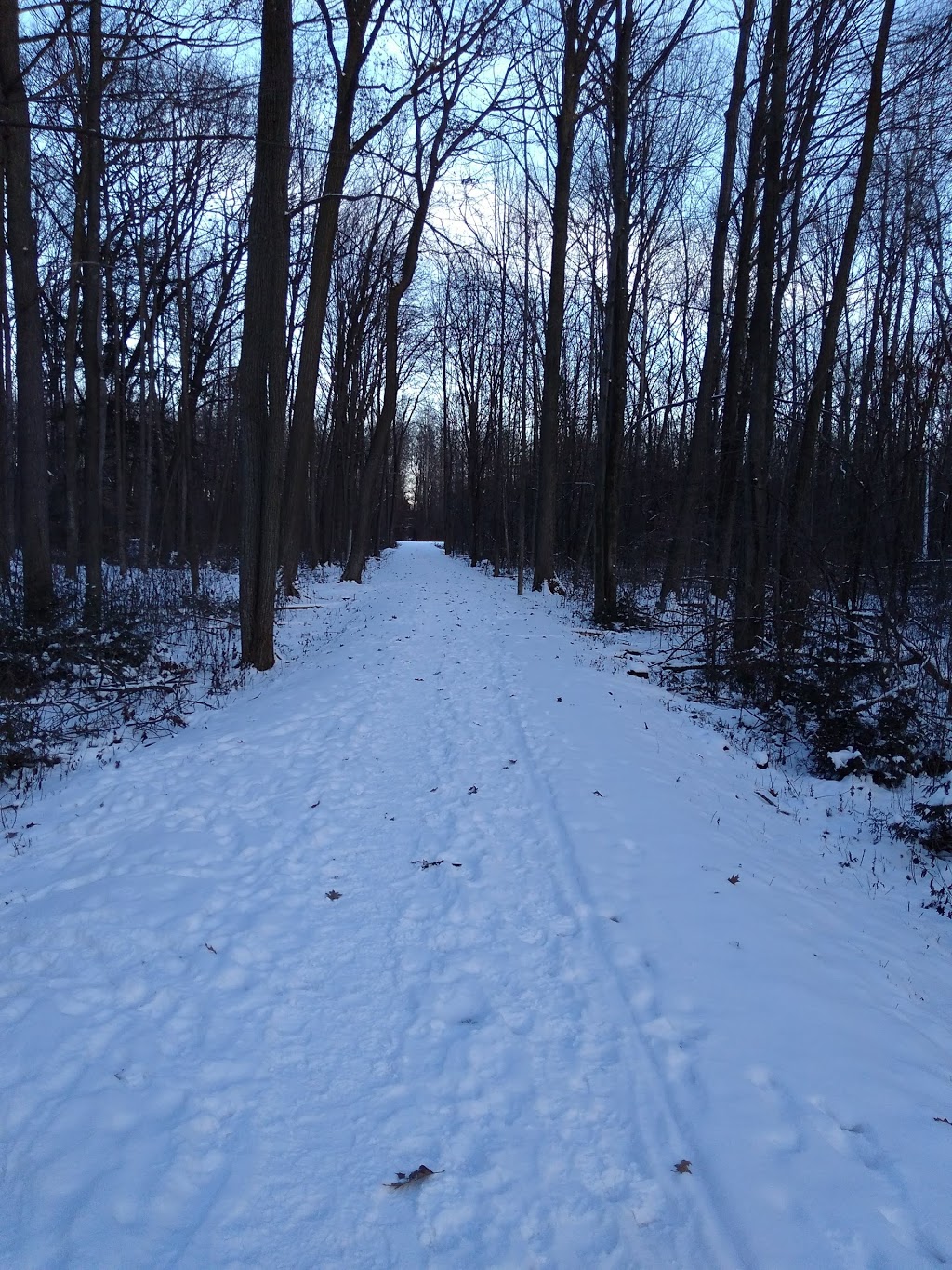 IdleWood park | 90 Harold Ave, Kitchener, ON N2A 2H8, Canada