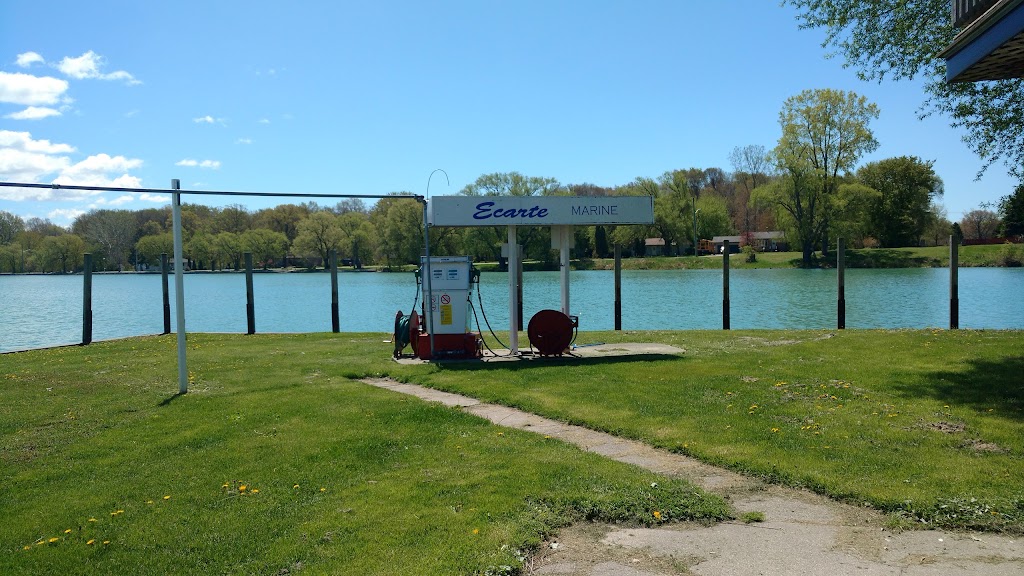 Ecarte Marine | 4729 Old River Rd, Port Lambton, ON N0P 2B0, Canada | Phone: (519) 677-5691