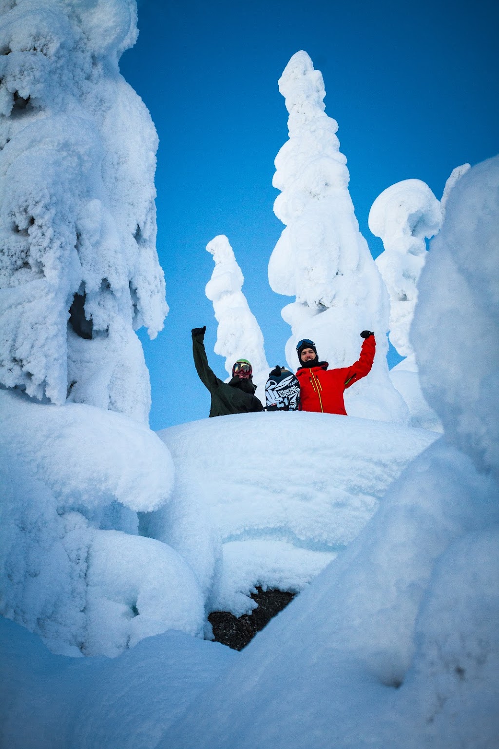Fernie Wilderness Adventures | East Kootenay A, BC V0B 1M6, Canada | Phone: (250) 423-6707