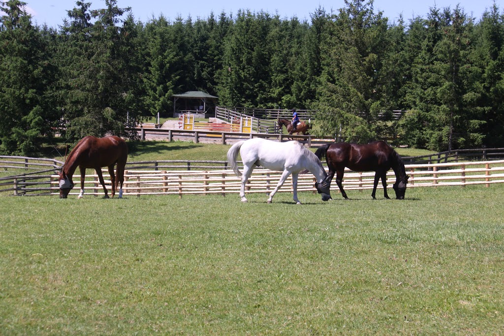 Wingberry Farms | 12800 8th Concession Rd, King City, ON L7B 1K4, Canada | Phone: (416) 725-2761