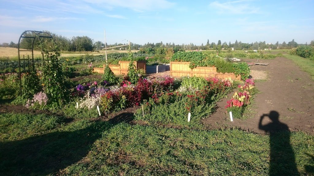 Green and Gold Community Garden | 118 St NW, Edmonton, AB T6H 2V8, Canada | Phone: (780) 492-4087