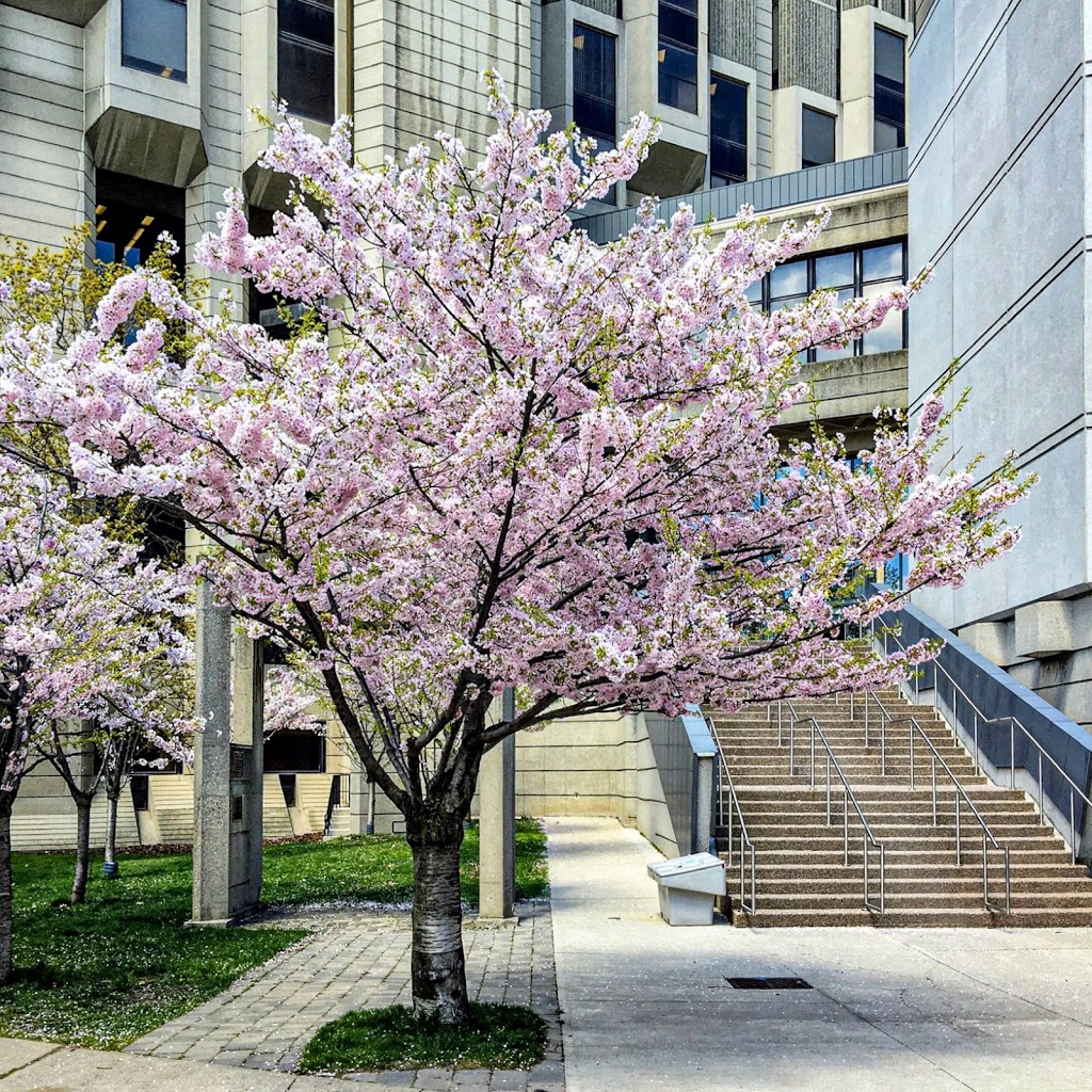 John P. Robarts Research Library | 130 St George St, Toronto, ON M5S 1A5, Canada | Phone: (416) 978-8450