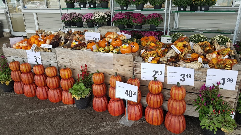 Zehrs | 35400 Huron Rd D, Goderich, ON N7A 4C6, Canada | Phone: (519) 524-2229