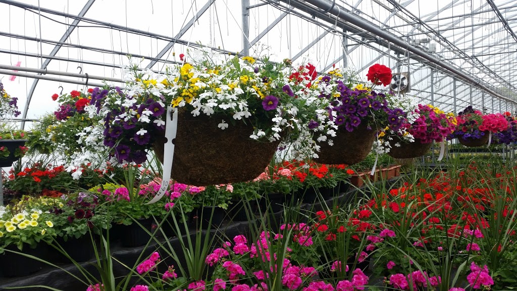 Floral Dimensions | 906 Hwy 20 W, Fenwick, ON L0S 1C0, Canada | Phone: (905) 892-4947