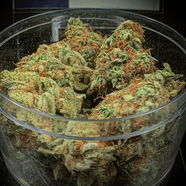 Guelph Dispensary Online | 765 Woodlawn Rd W, Guelph, ON N1K 1E9, Canada | Phone: (647) 251-8171