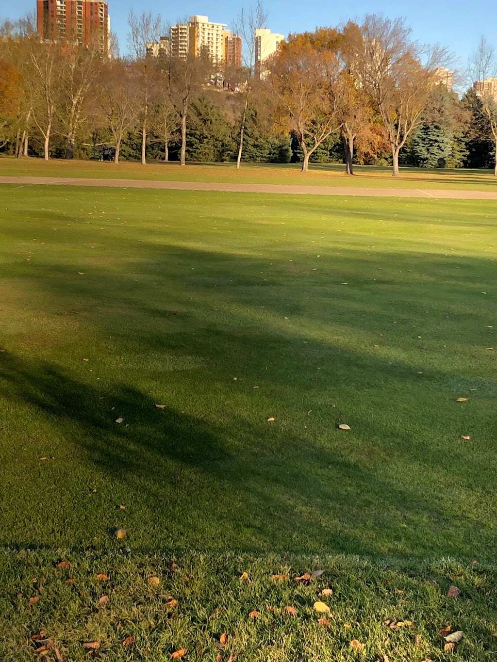 Victoria Cricket Pitch | 12040 River Valley Rd NW, Edmonton, AB T5K 2M6, Canada | Phone: (780) 298-8689