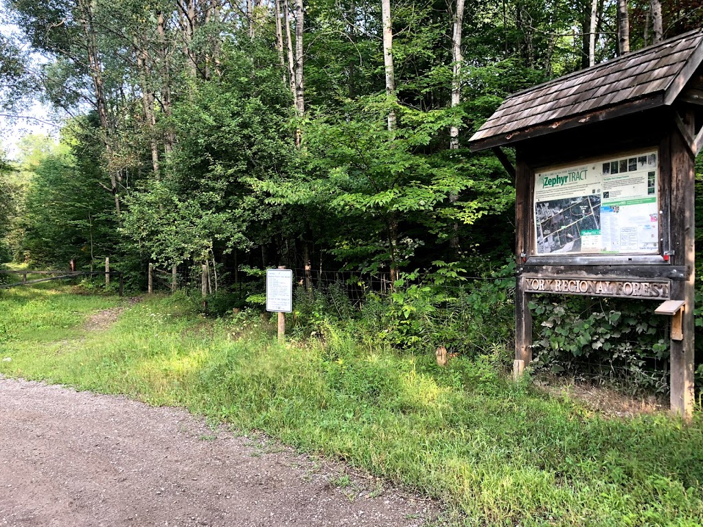 Zephyr Tract | East Gwillimbury, ON L0G 1M0, Canada
