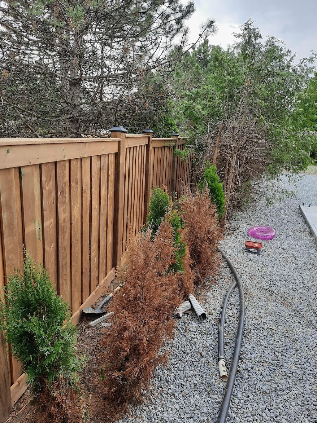 C&J renovations | 10 Faith Ave, Toronto, ON M3H 1W3, Canada | Phone: (437) 262-1563