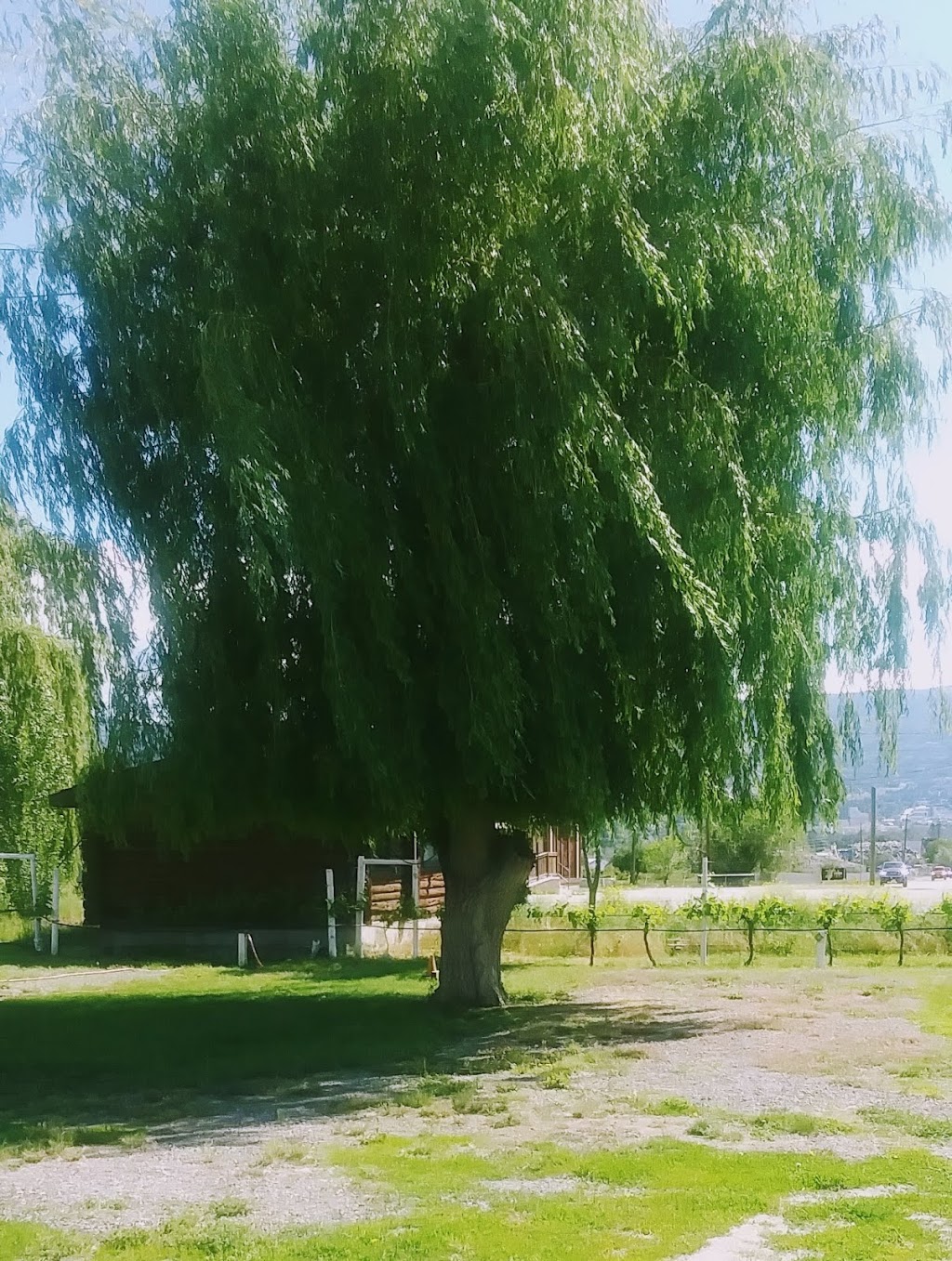 XR family campground | 285 Green Mountain Rd, Penticton, BC V2A 0E1, Canada | Phone: (250) 809-1387