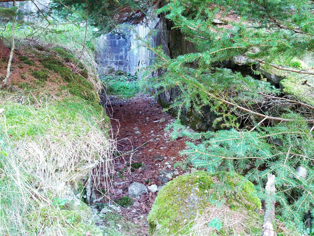 McNabs and Lawlor Islands Provincial Park | Shearwater, NS B0J 3A0, Canada | Phone: (902) 662-3030