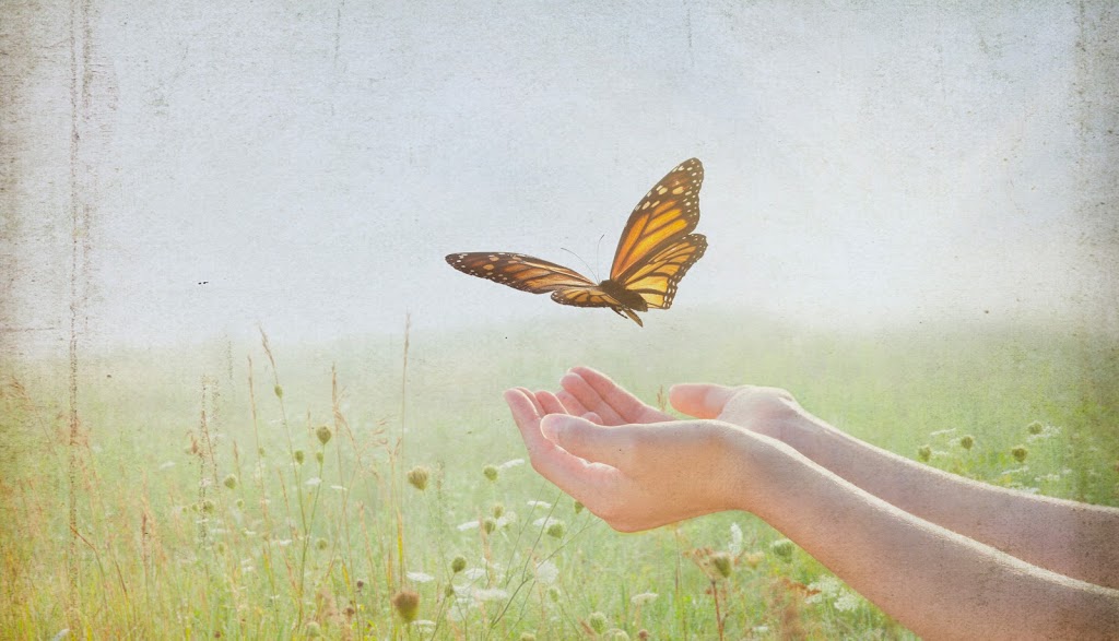 Monarch Psychology | 1909 17 Ave SW, Calgary, AB T2T 0E9, Canada | Phone: (403) 454-4988