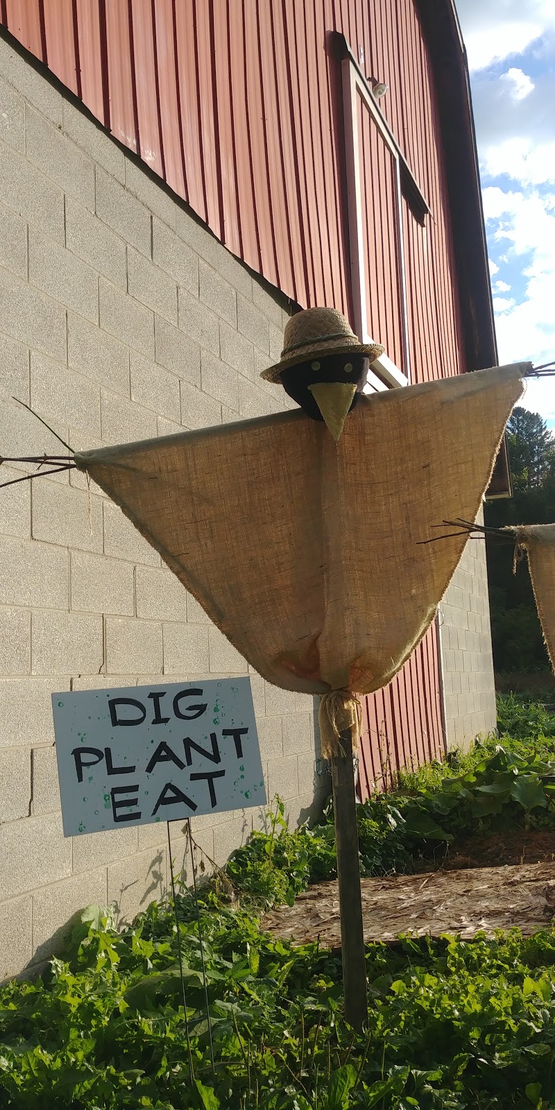 Schomberg Community Farm | 210 Western Ave, Schomberg, ON L0G 1T0, Canada