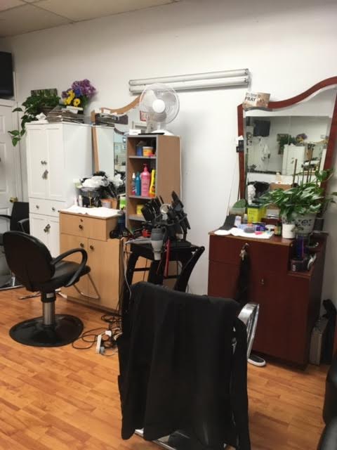 Klassic Kuts | 3427 Derry Rd E, Mississauga, ON L4T 4H7, Canada | Phone: (905) 364-5589