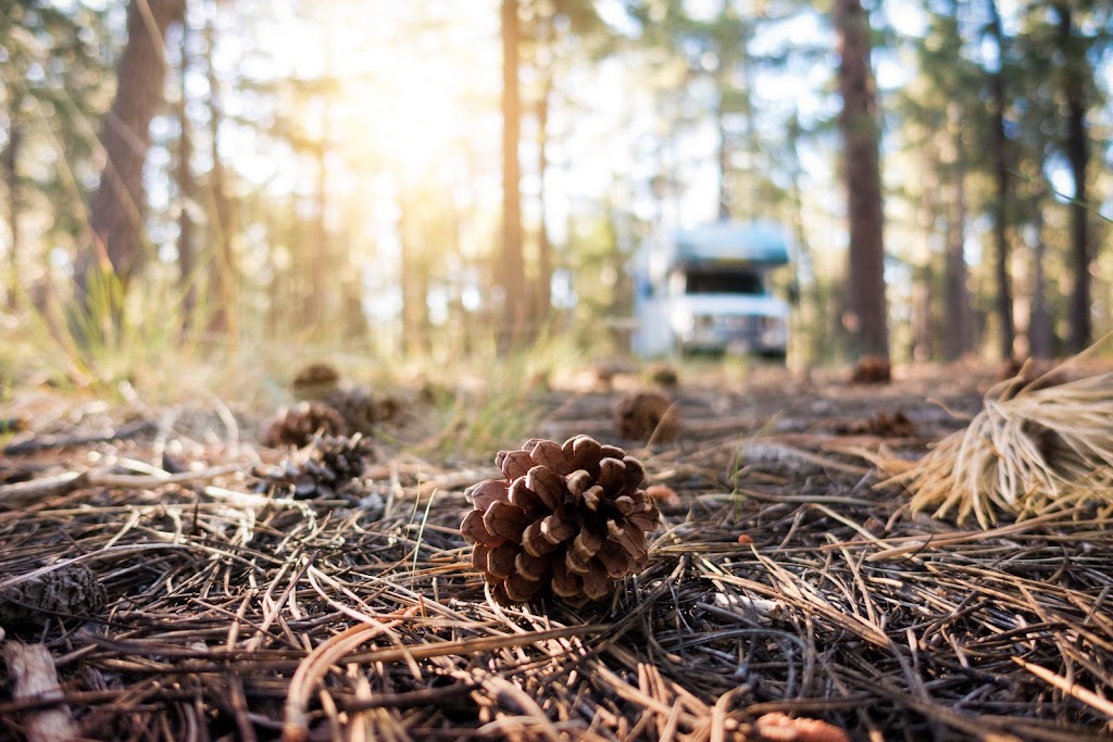 The Red Fox Campground | 157 Ling Rd, Oyster Bed Bridge, PE C1E 1Z3, Canada | Phone: (902) 916-1264