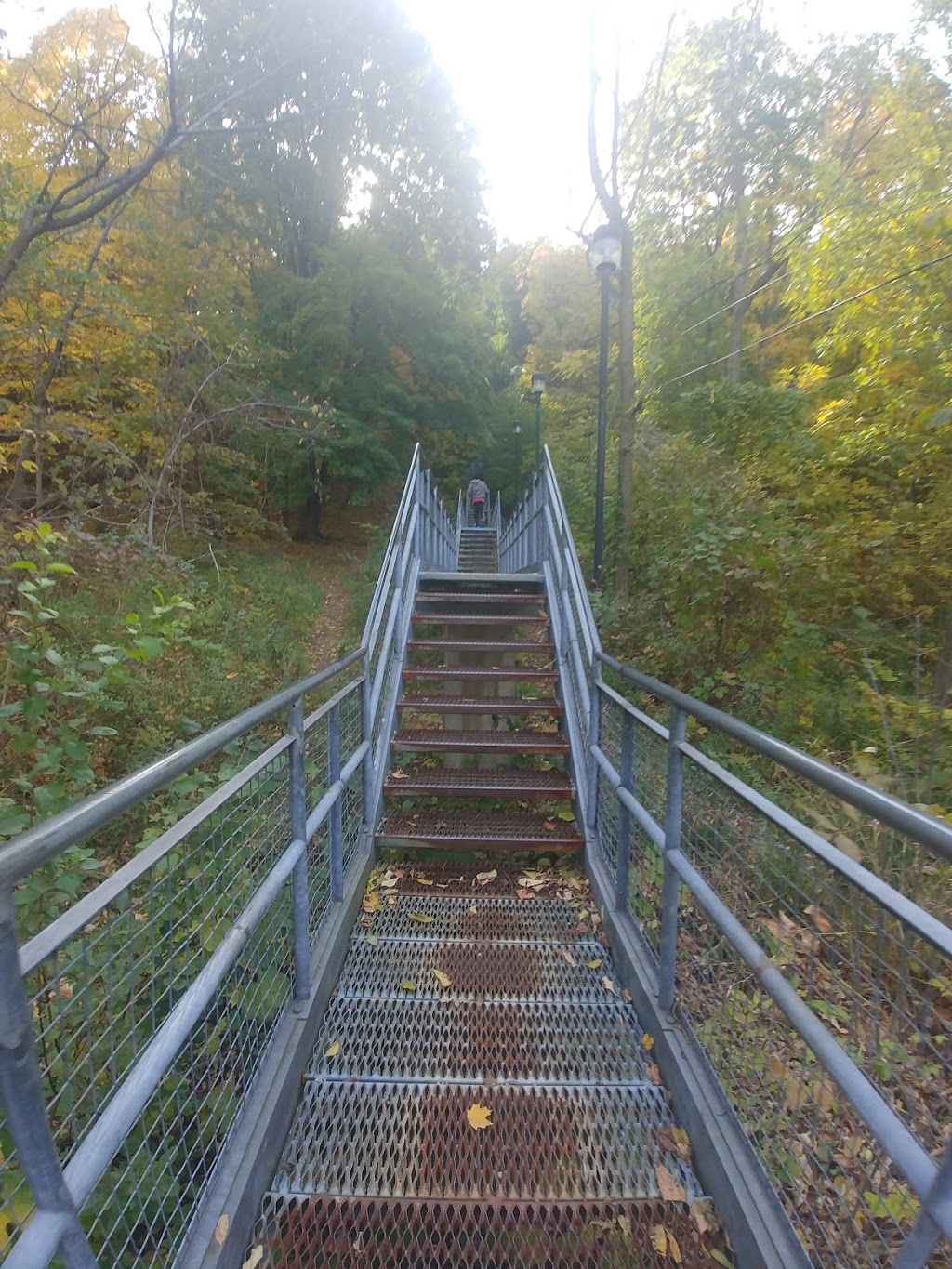 Dundurn Stairs | 2X3, Dundurn Stairs, Hamilton, ON L8P 2X3, Canada