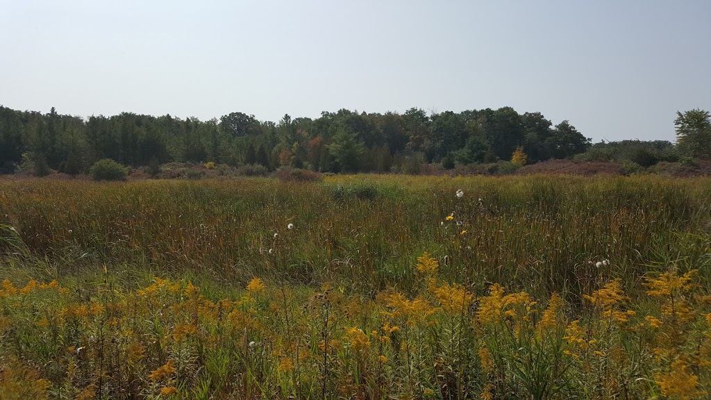 Taquanyah Nature Centre | 870 Townline Road West, Cayuga, ON N0A 1E0, Cayuga, ON N0A 1E0, Canada | Phone: (905) 768-3288