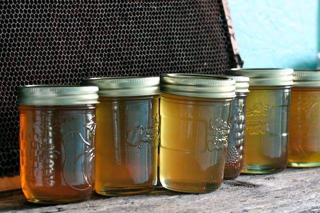 Three Hill Farm | 112 Chem. Conroy, Chapeau, QC J0X 1M0, Canada | Phone: (613) 281-4553