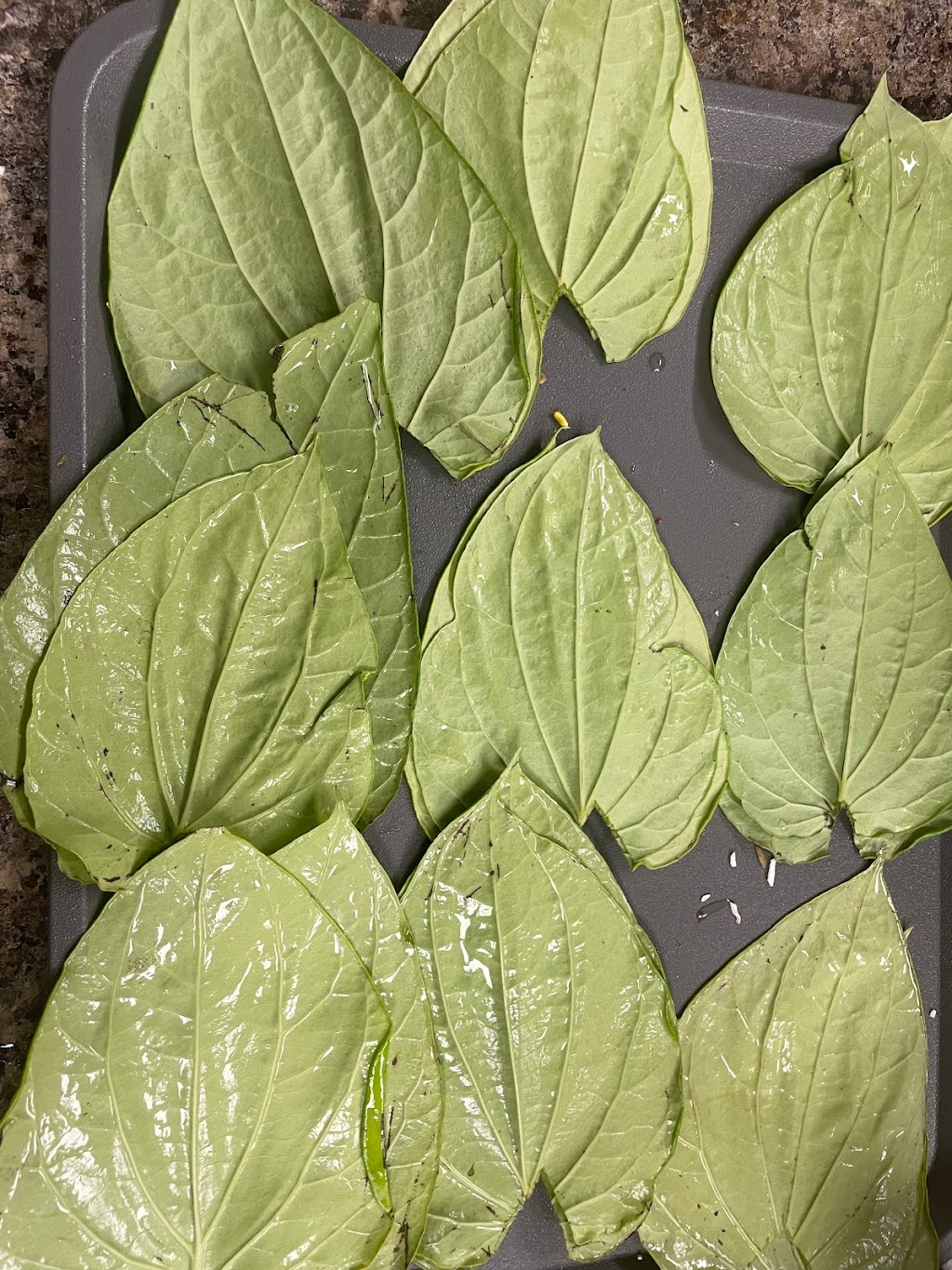 Paan Ki Dukaan | 5885 Vedder Rd #104, Chilliwack, BC V2R 1C3, Canada | Phone: (604) 847-0165