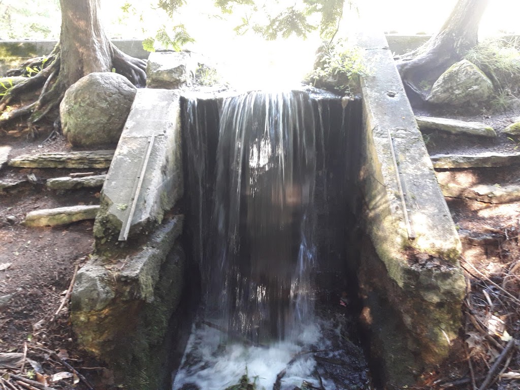 Springwater Provincial Park | 1331 ON-26, Midhurst, ON L0L 1X0, Canada | Phone: (705) 728-7393
