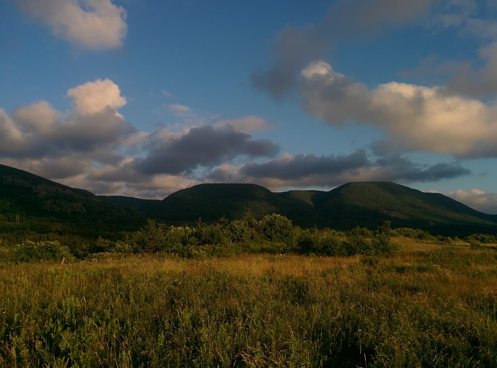 The Travel Agent Next Door | 15458 Cabot Trail, Chéticamp, NS B0E 1H0, Canada | Phone: (902) 224-7411