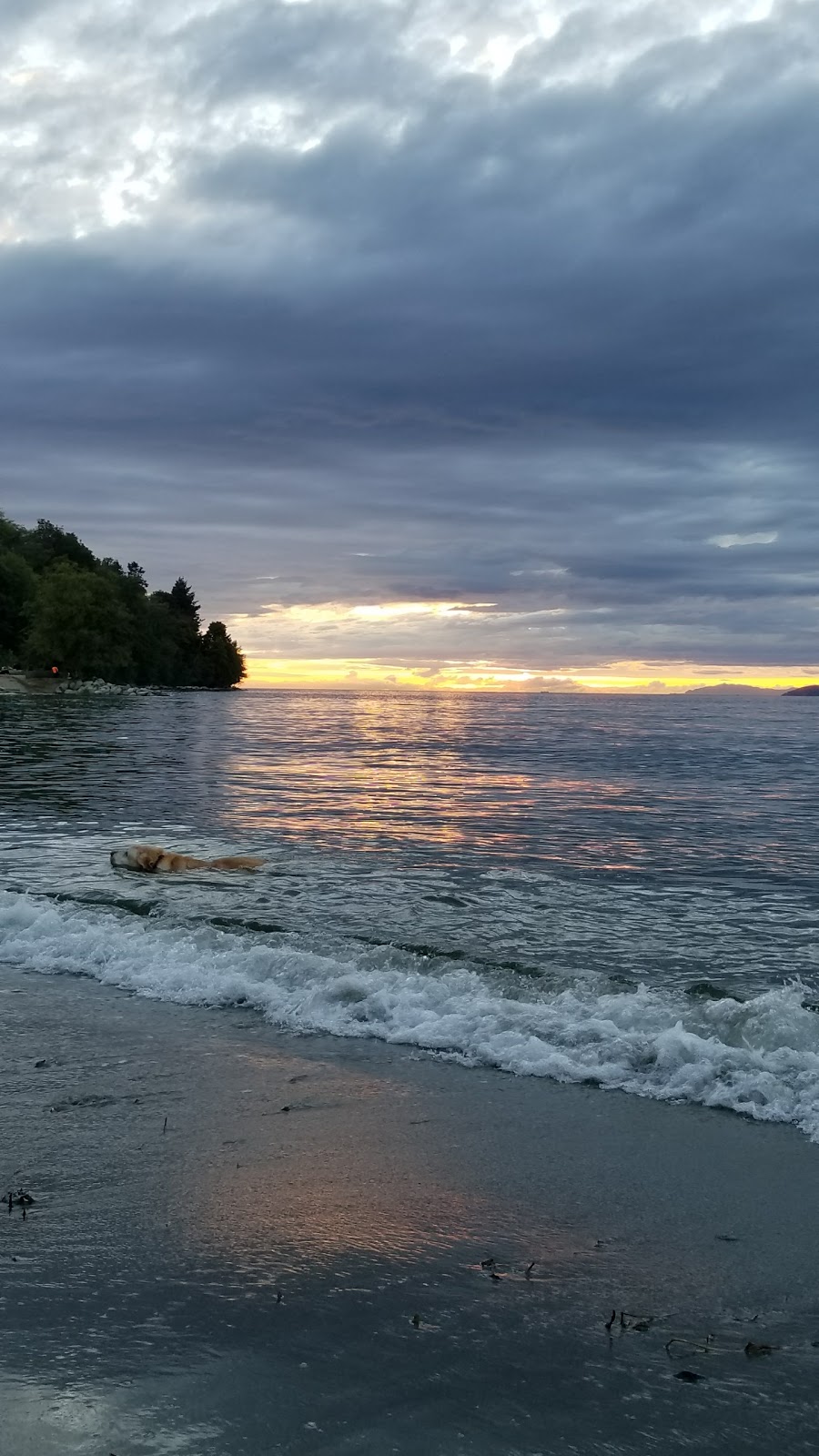 Pacific Spirit Regional Park | 5495 Chancellor Blvd, Vancouver, BC V6T 1E4, Canada | Phone: (604) 224-5739