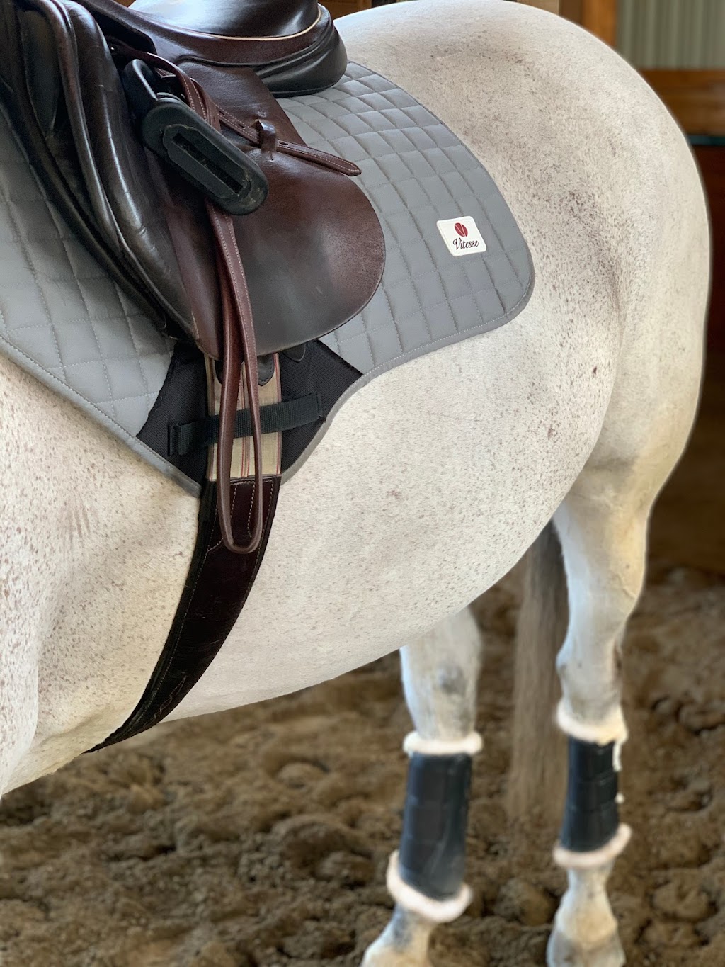 Vitesse Equestrian | 3875 202 St, Langley Twp, BC V3A 1R9, Canada | Phone: (604) 719-8716